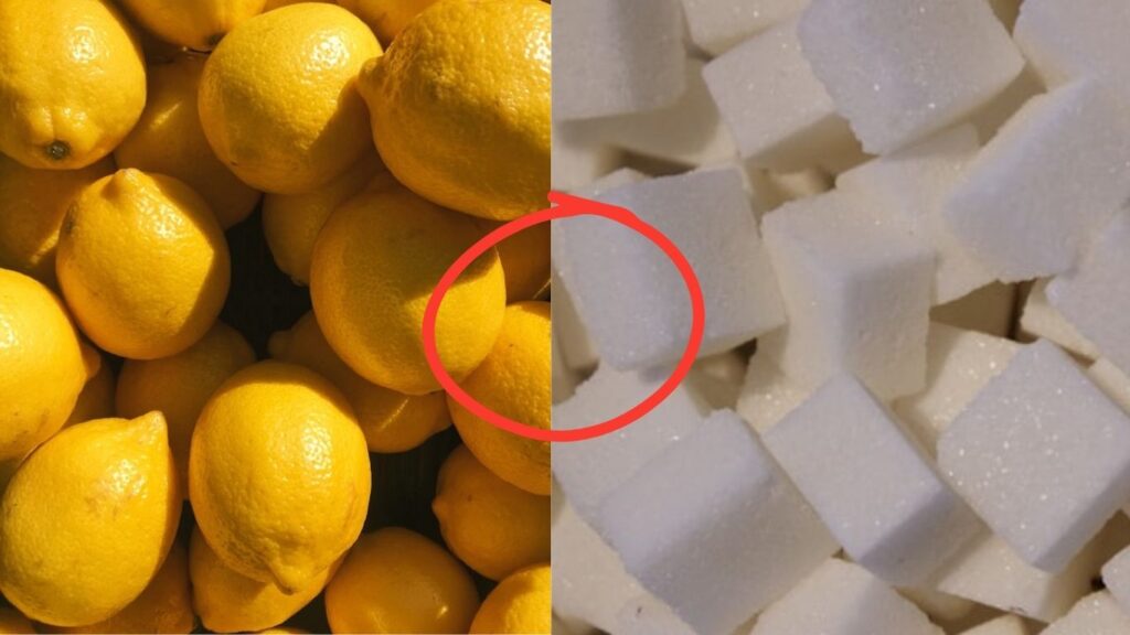 ホットカクテル　甘味　酸味　写真