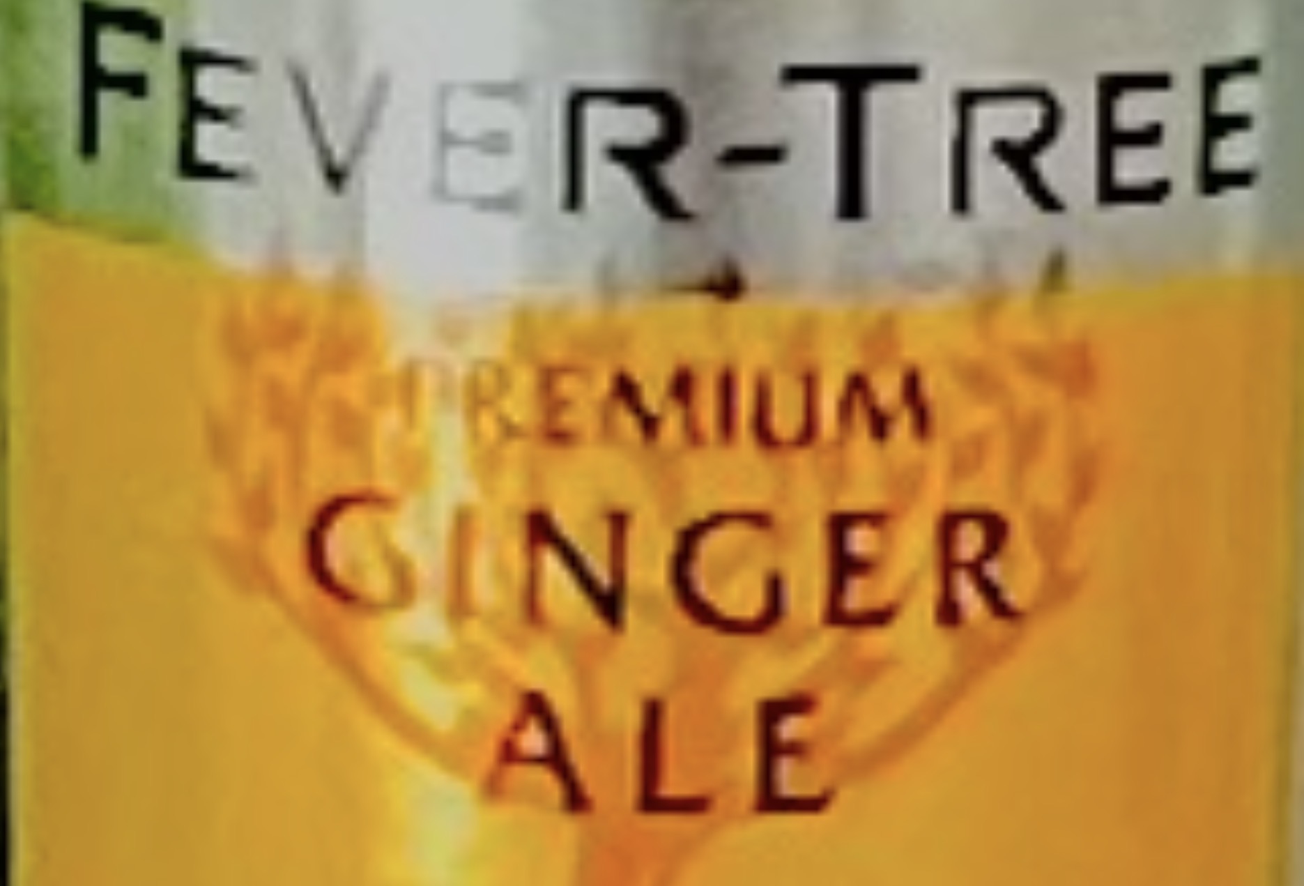 フィーバーツリーの写真